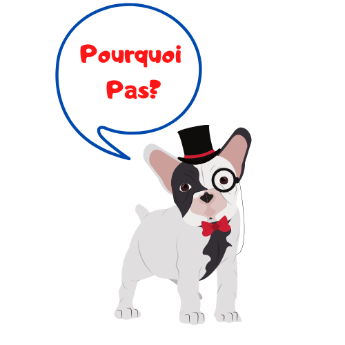 Pourquoi Pas Brésil